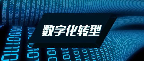 企業(yè)數字化轉型 勢在必行之路與Datatist的數字化賦能角色